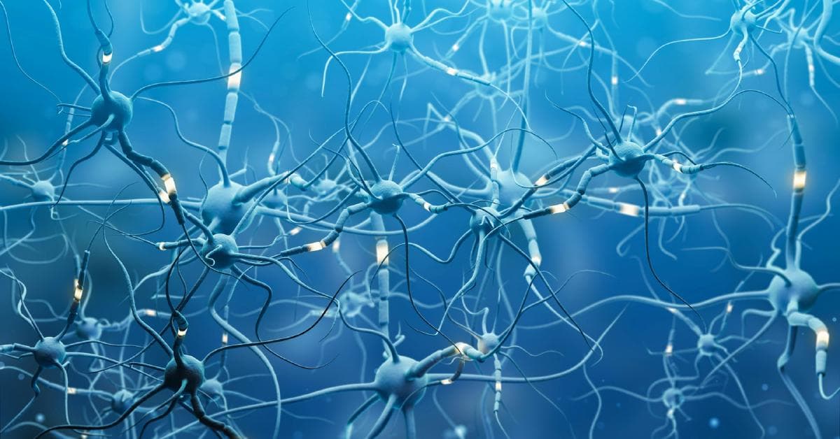 🧠 Découvrez le Brain Regeneration Observatory, un